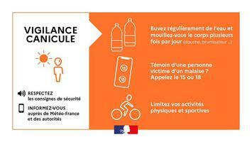 Alerte Canicule ! 🌡️☀️
