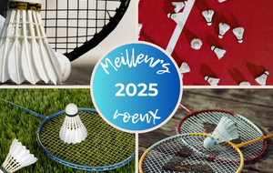 Meilleurs vœux 2025