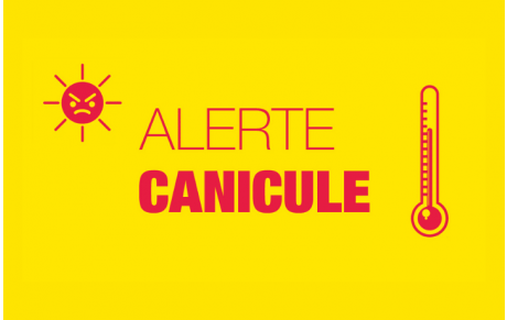 Alerte canicule