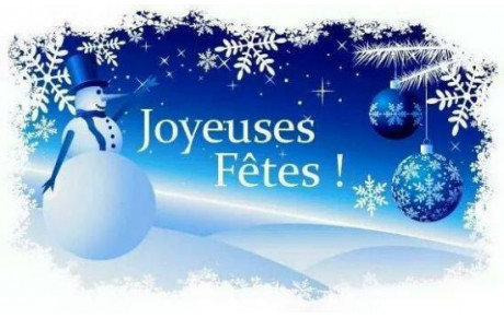 🎄✨ Bonnes fêtes et meilleurs vœux ! ✨🎄