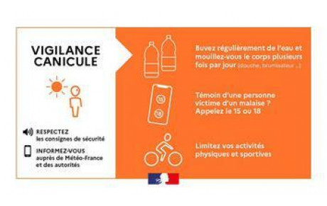 Alerte Canicule ! 🌡️☀️